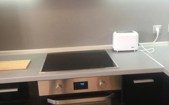 Stylish spacious flat