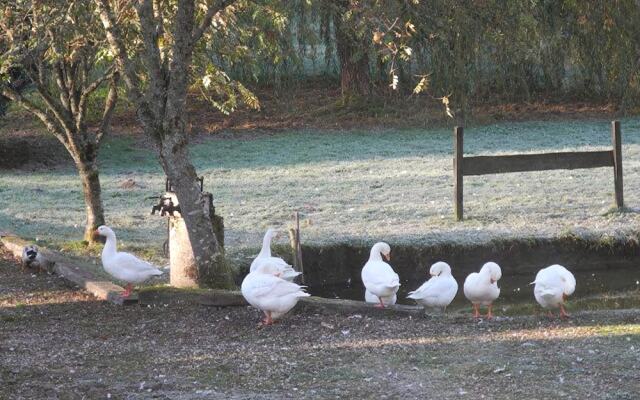 Hôtel Restaurant les Bruyères