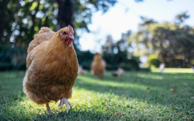 The Goodland Cottages