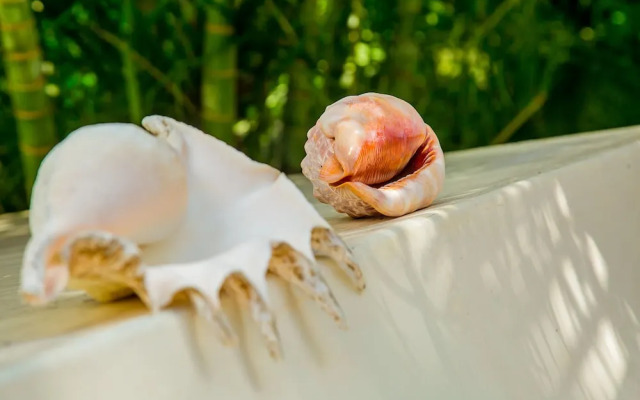 Villakwetu Cottages Diani Beach