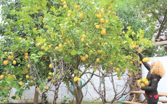 Byseacle - Lisbon Bike Surf Camp