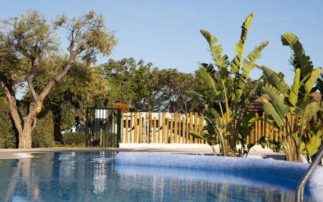 Attractive Bungalow With a Covered Terrace, Near the Beach
