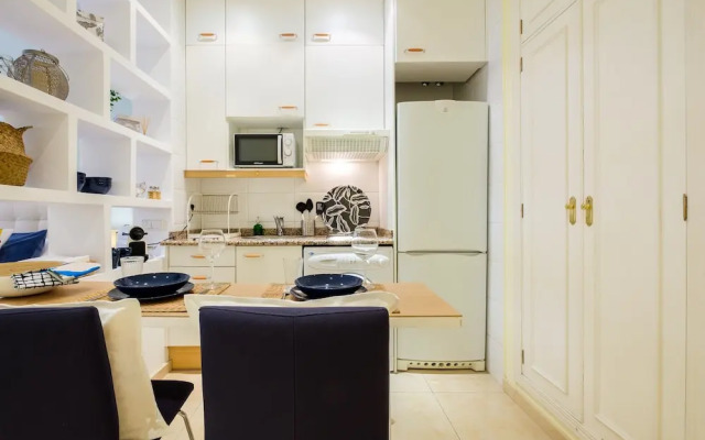 Nice studio in Malasaña