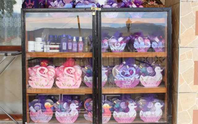 Sahan Apart ve Bungalov