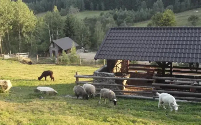 Agroturystyka Studzienno