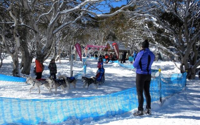 Cloud 9 Alpine Lodge