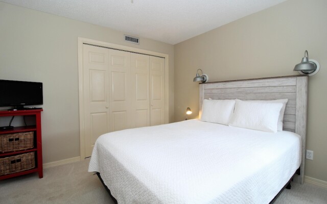 Needle Rush Point F12