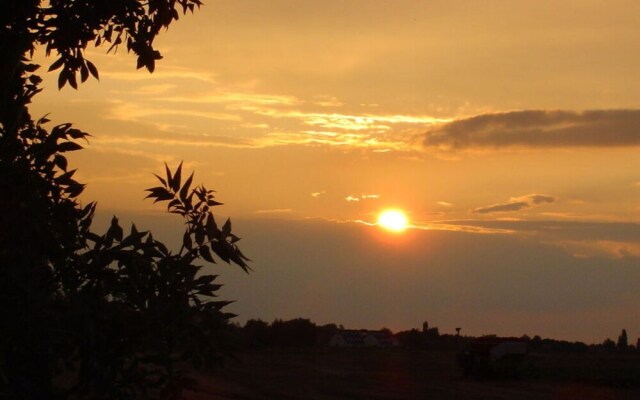 Yellow - Peter's Modern Retreat