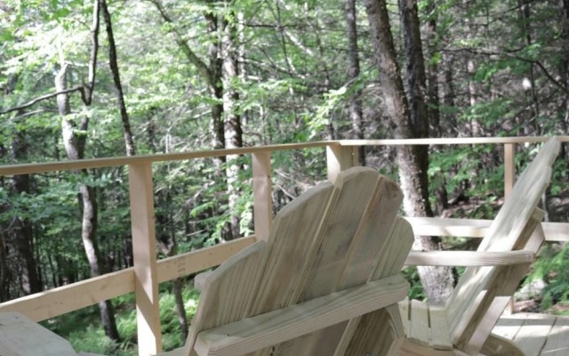 Tentrr - Birdwatcher