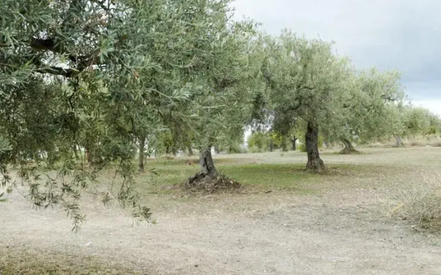 Serra Berretta Country House
