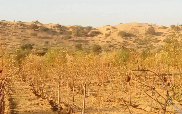 Abhay Resort And Camp