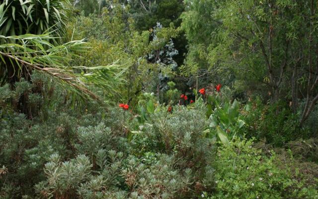 The Black Cockatoo Nannup