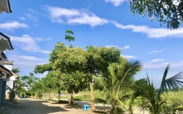 Junyuan Guesthouse