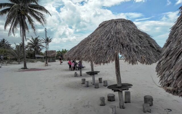 Tribe Beachville