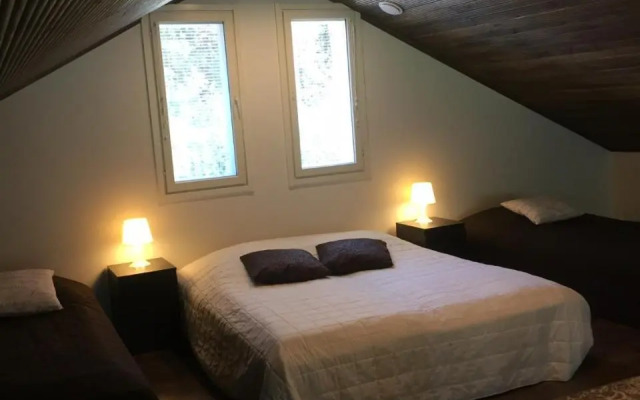 Villa koivula