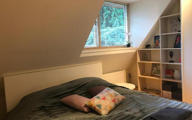 Exclusive villa AMS area