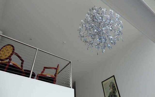 Areca Launceston 