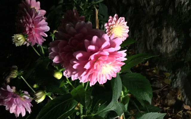 Ugurlubey Butik Dag Oteli