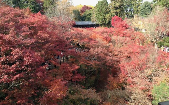 Connect inn Shichijokamogawa