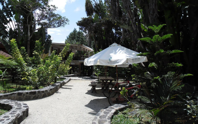 Le Domaine de L’arbre du Voyageur