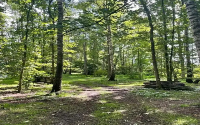 Rustic-chic Holiday Home