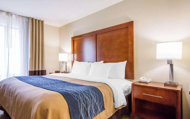 Comfort Inn & Suites Deadwood