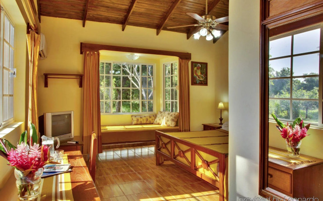 Midas Belize