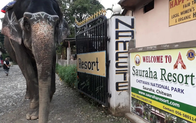 The 90's Sauraha