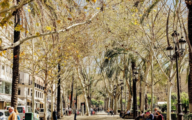 Plaza de la Magdalena I, Sevilla