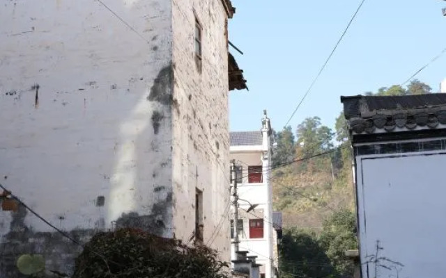 Wuyuan met the dawn bighead