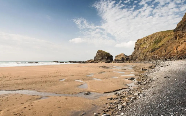 Trevigue