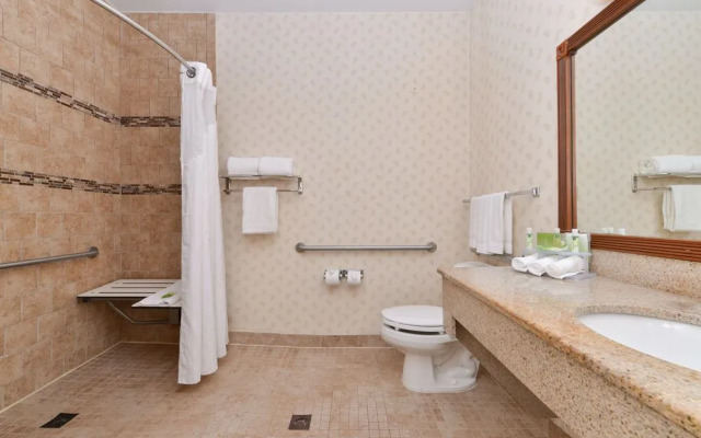 Holiday Inn Express Hotel & Suites Southfield - Detroit