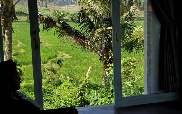 Dikaloha Medewi Surfcamp