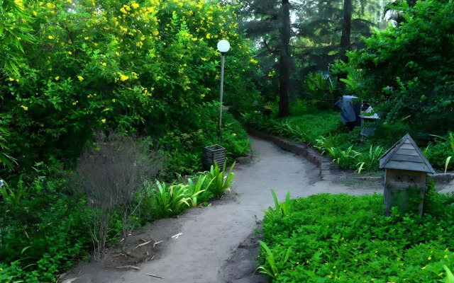 Exotica - The Beach Resort