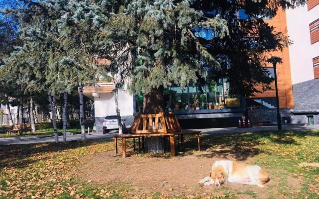 Apartamenti Bakuriani INN