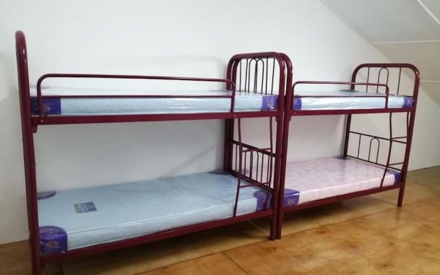 Single Bed in Mixed Dormitory Room With Ac