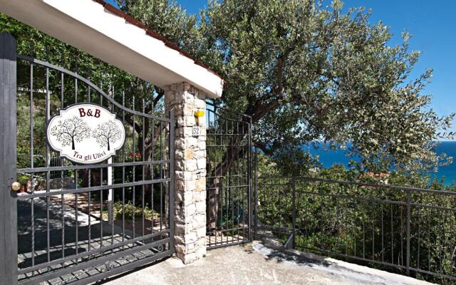 B&B "Tra Gli Ulivi"