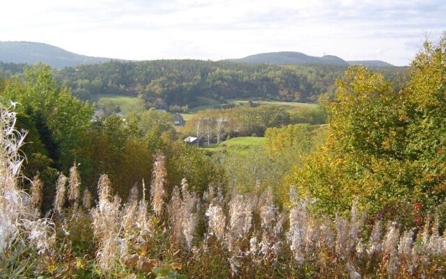 Gîte La Bergeronnette