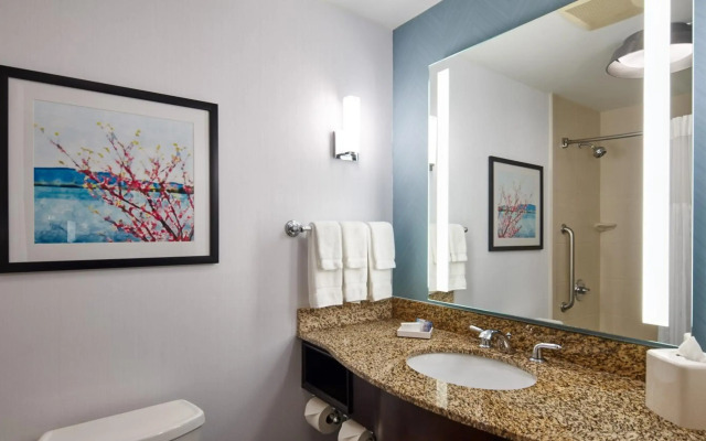 Hilton Garden Inn Merrillville