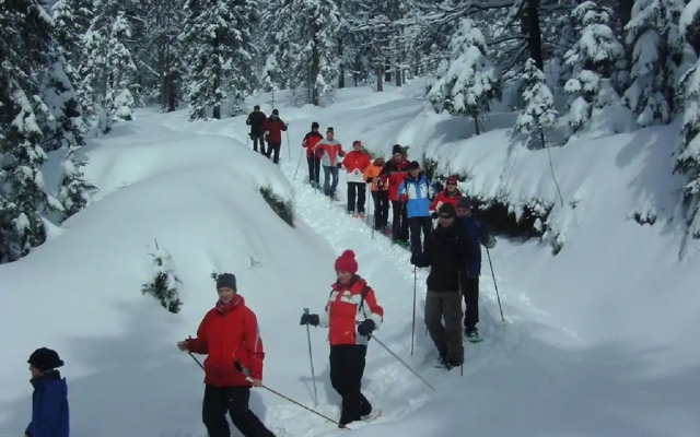 Pension Haus Waldesruh