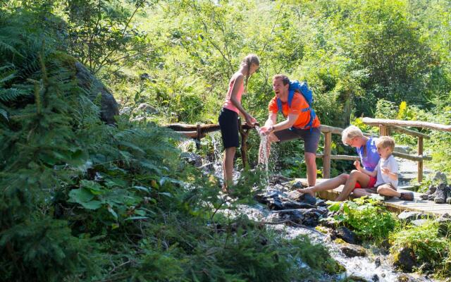 Chalet in Bramberg Near Wildkogel Ski Arena
