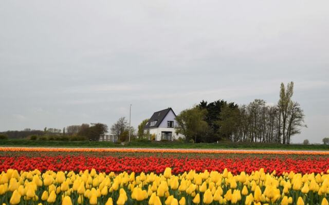 Beautiful Holiday Home in Katwijk aan Zee Near Sea