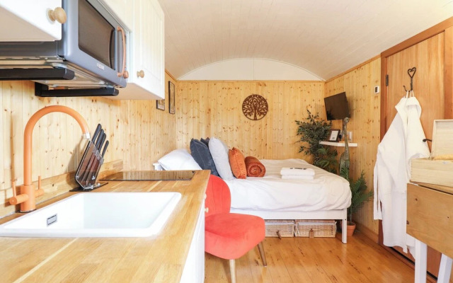 Red Kite at Wild Valley Huts