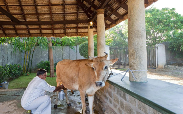 Halez Sparsa Thiruvannamalai