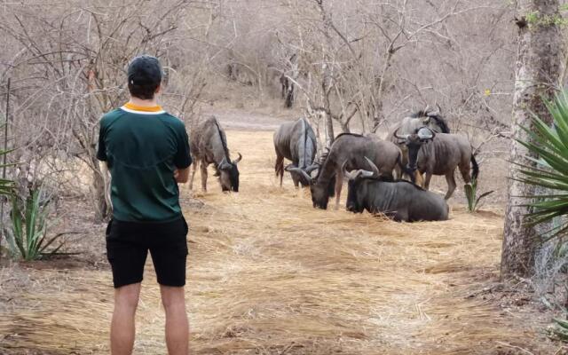 Wielewaal Bush Lodge