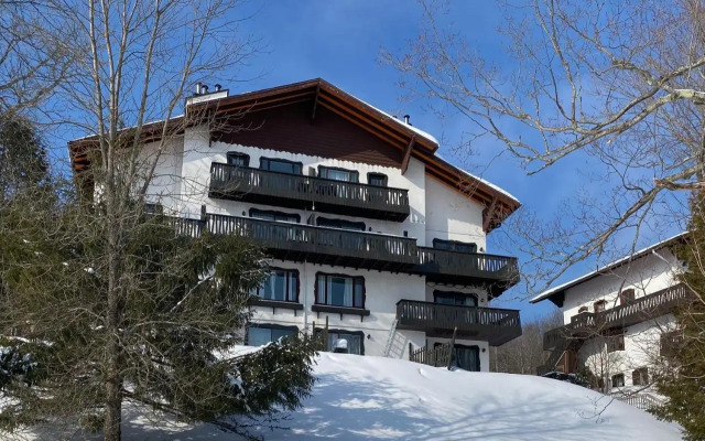 Mountain view fully renovated 6-8 people condo