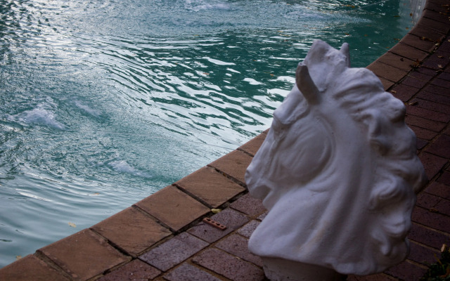 Horse's Neck Guest Lodge