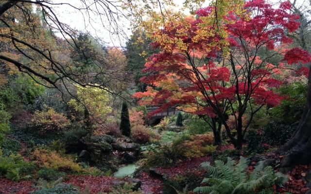 Woodland View Newport - 4 bedroom home