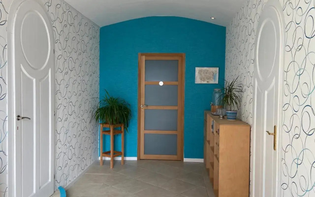 B&B Gekko