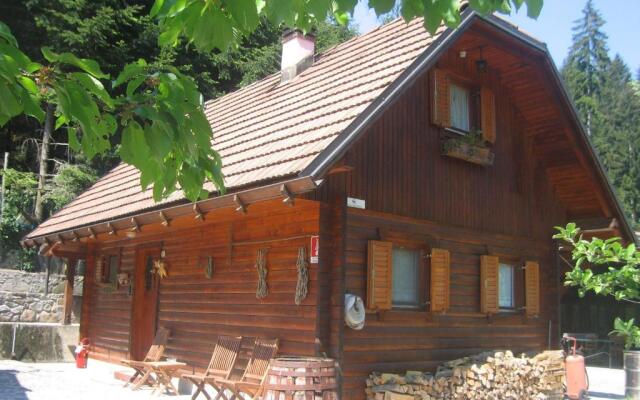 Agriturismo BOSCO DI MUSEIS